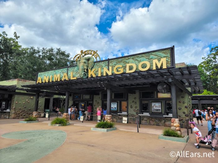 Disney World Transportation Guide: How to Get from Hollywood Studios to Animal  Kingdom - AllEars.Net